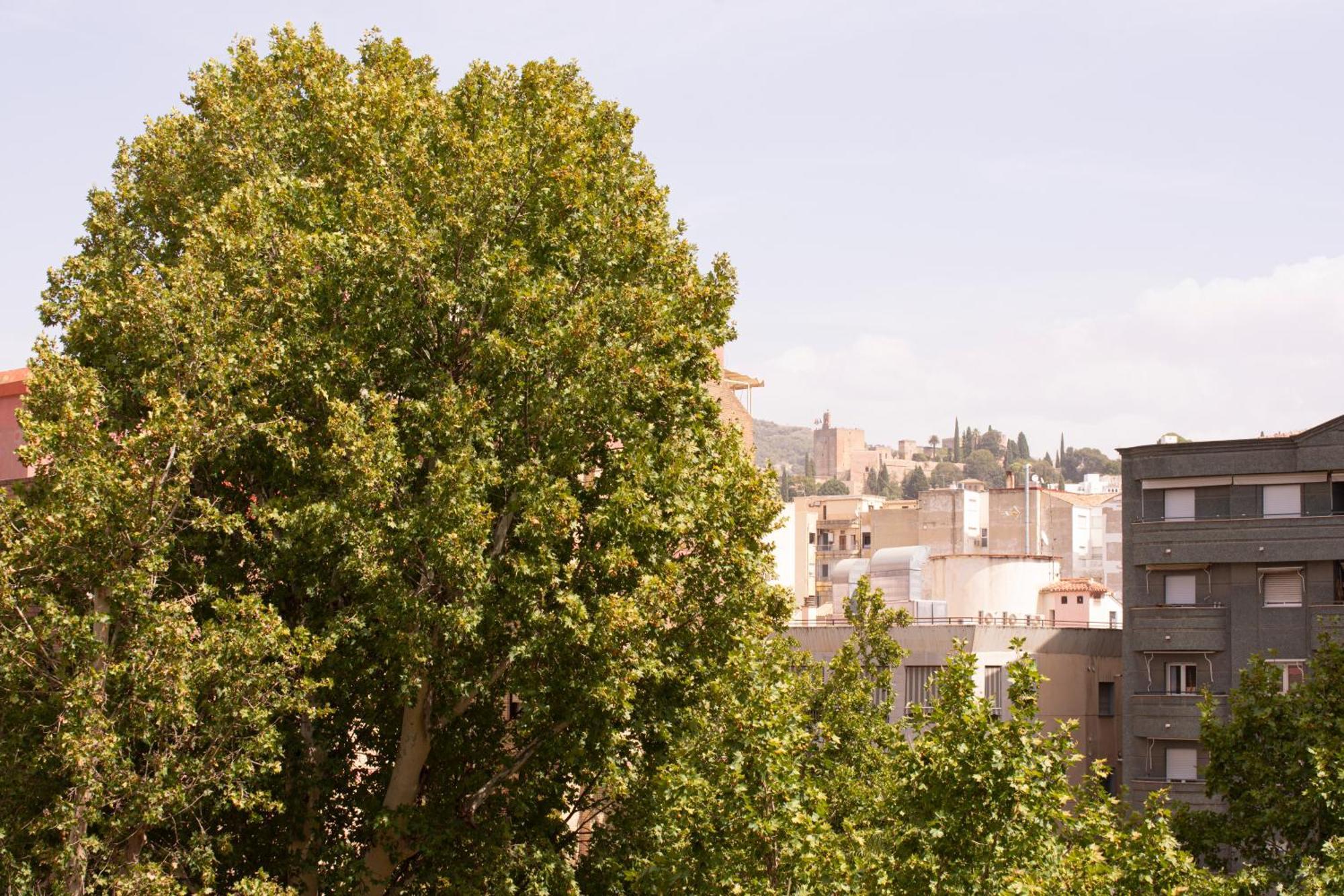 Apartamentos Centro גרנדה מראה חיצוני תמונה