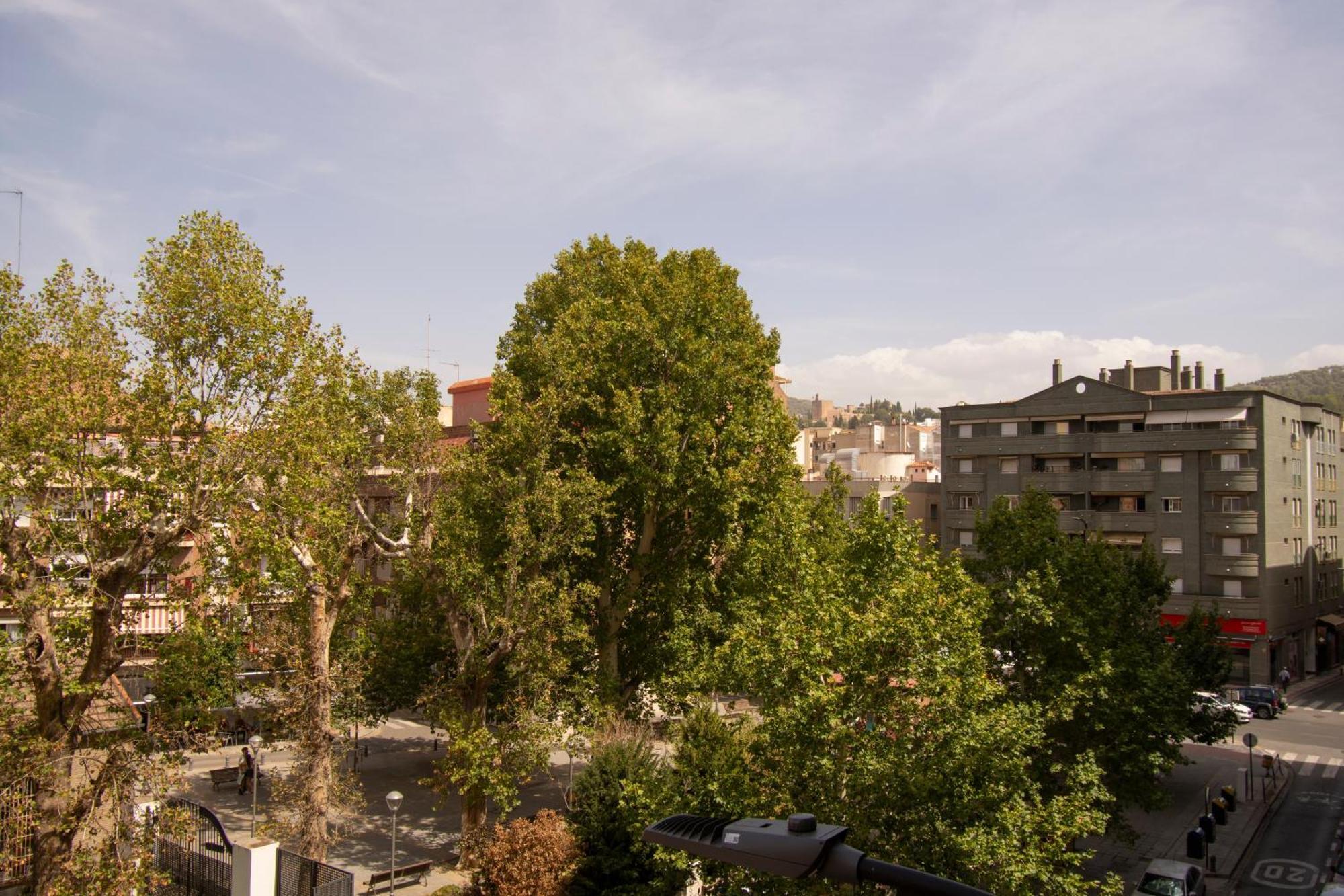 Apartamentos Centro גרנדה מראה חיצוני תמונה
