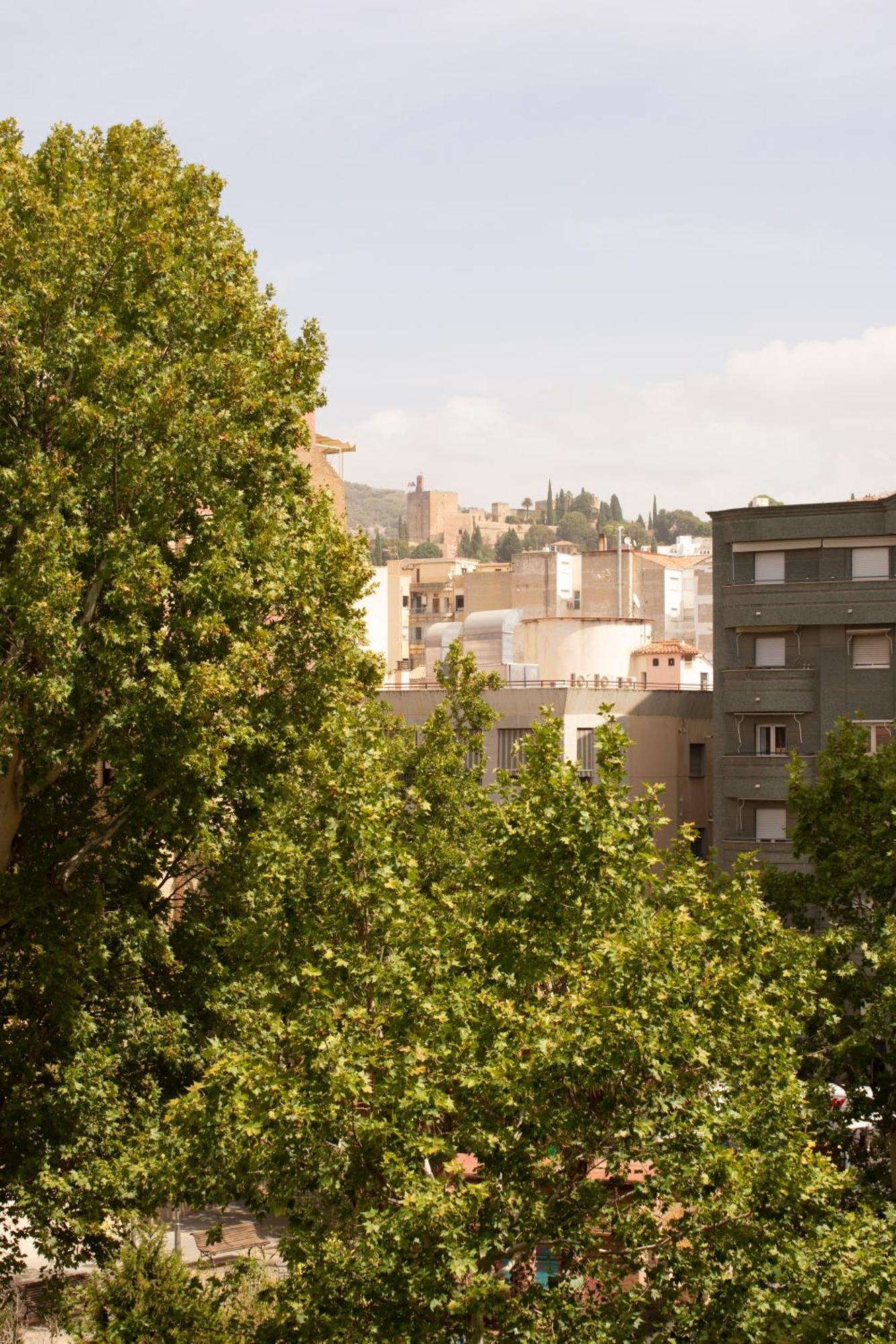 Apartamentos Centro גרנדה מראה חיצוני תמונה